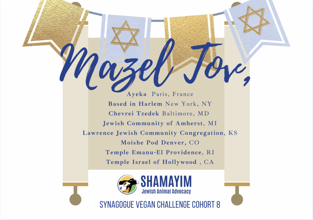 mazel tov to our 8th cohort of the synagogue vegan challenge!